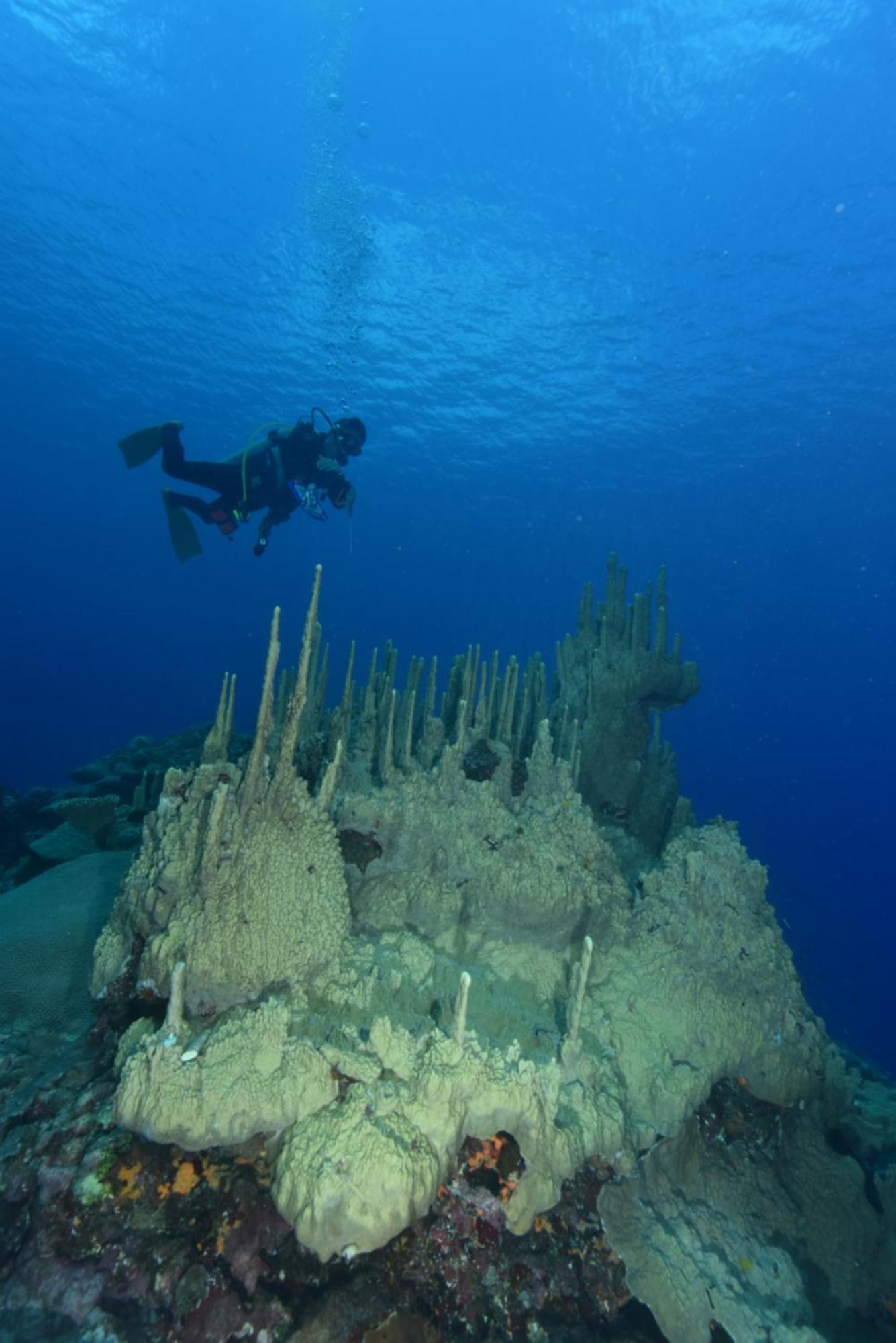 Island Hopper Ξενοδοχείο Yepan Εξωτερικό φωτογραφία